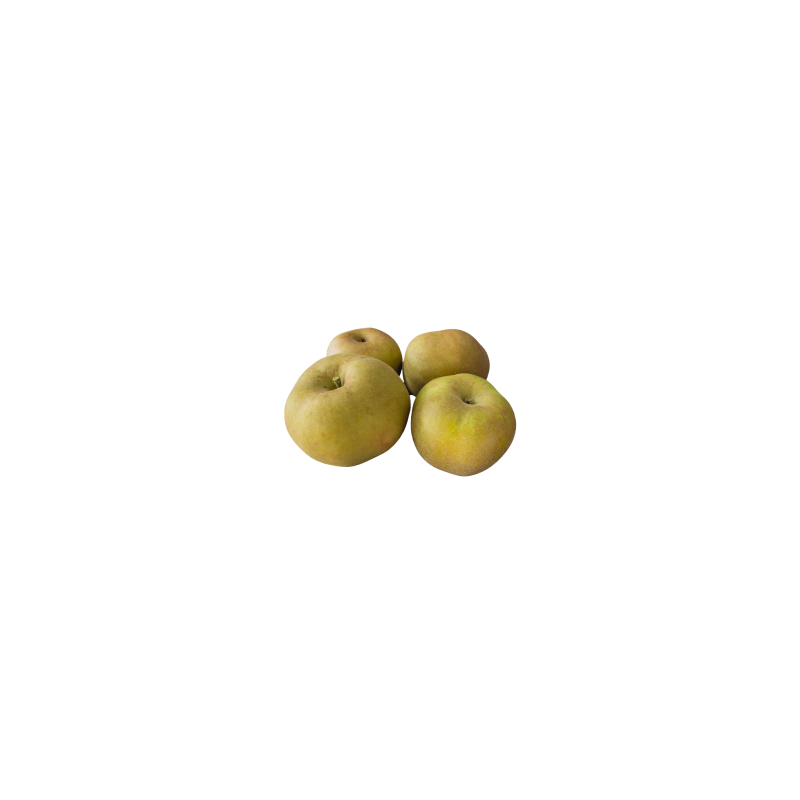 Pommes reinette grise du canada