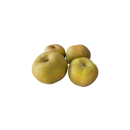 Pommes reinette grise du canada
