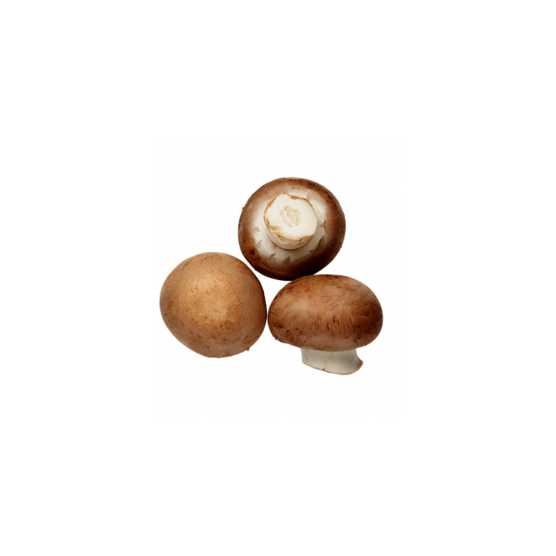Champignons de paris brun