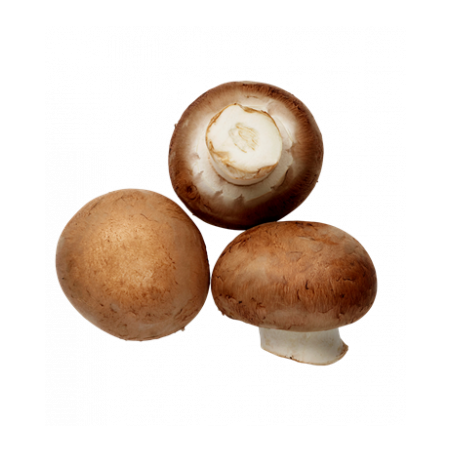 Champignons de paris brun