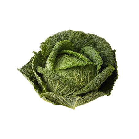 Chou frise
