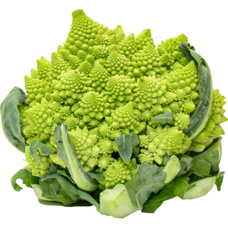 Chou romanesco