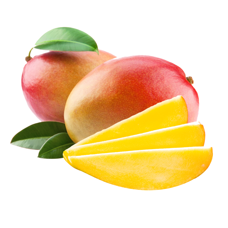 Mangue Bateau
