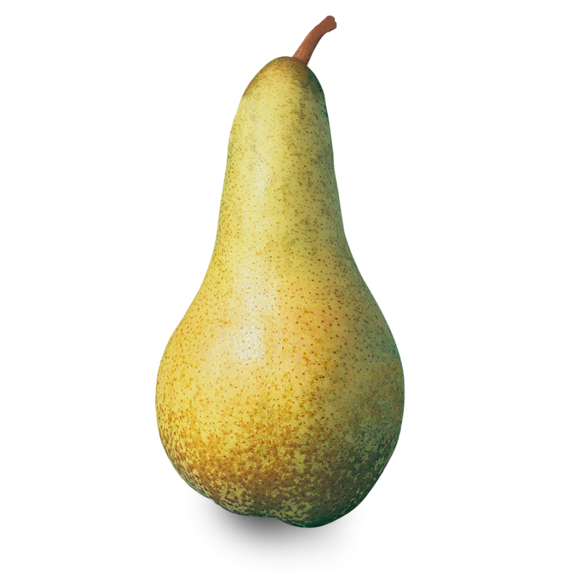 Poire Abate Poire Abate