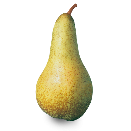 Poire Abate