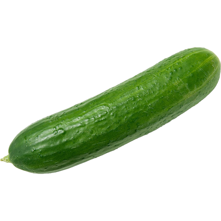 Concombre
