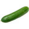 Concombre