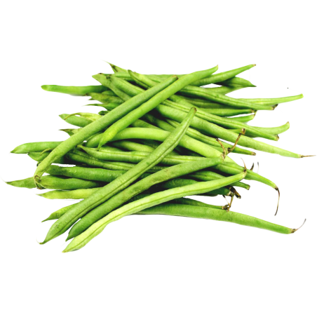 Haricot vert