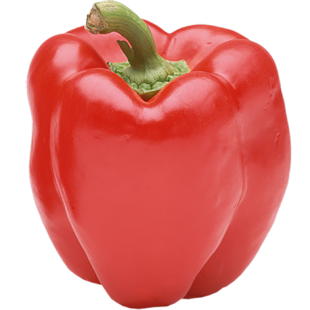 Poivron rouge