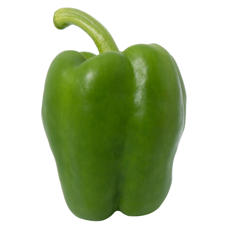 Poivron vert