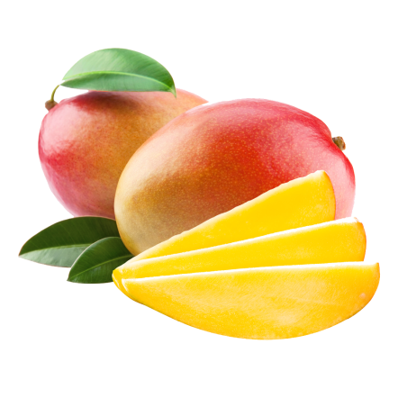 Mangue avion