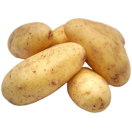 Pomme de terre Mona lisa 5kg