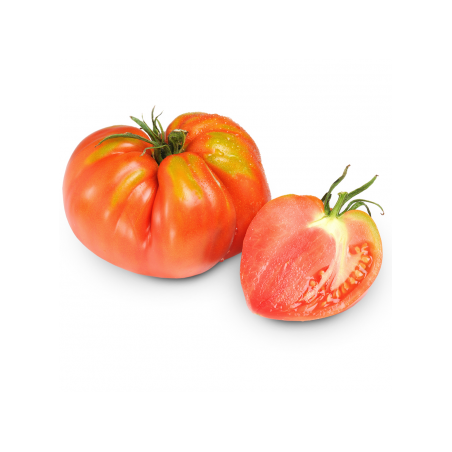 Tomate ancienne