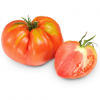 Tomate ancienne